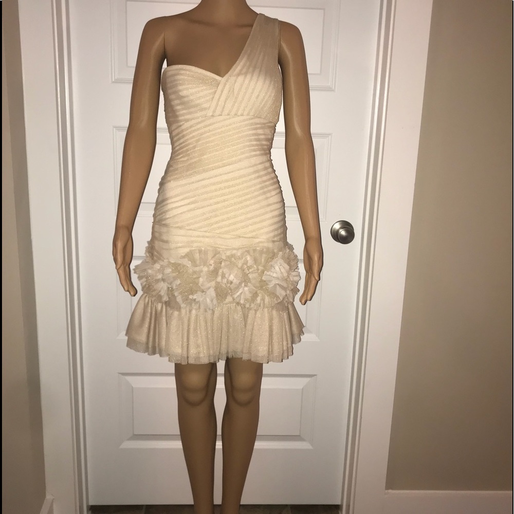 BCBG prom dress